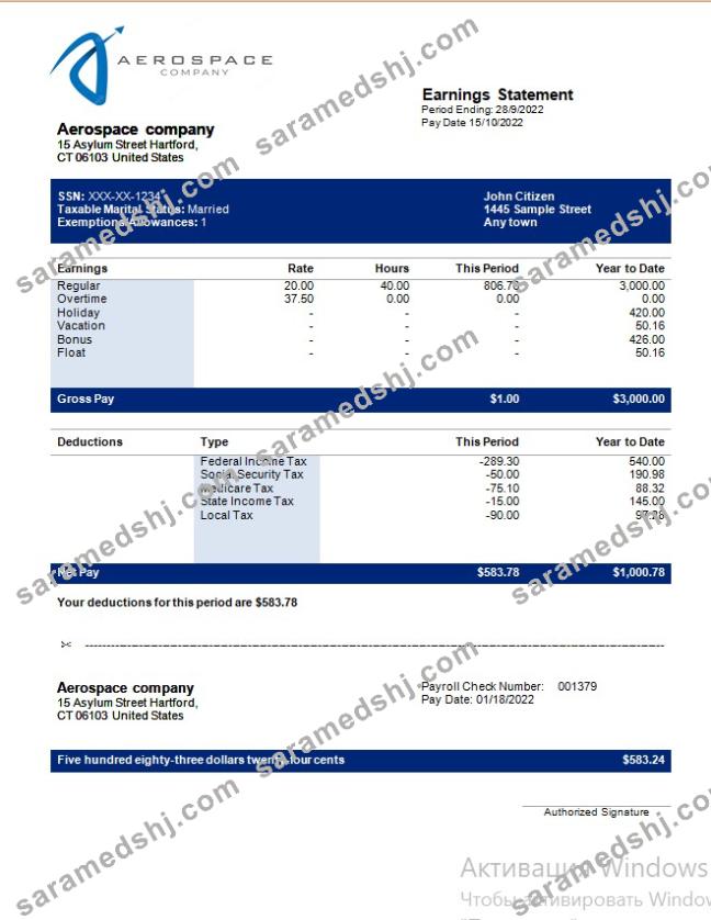 Aerospace company earning statement in Word and PDF formats